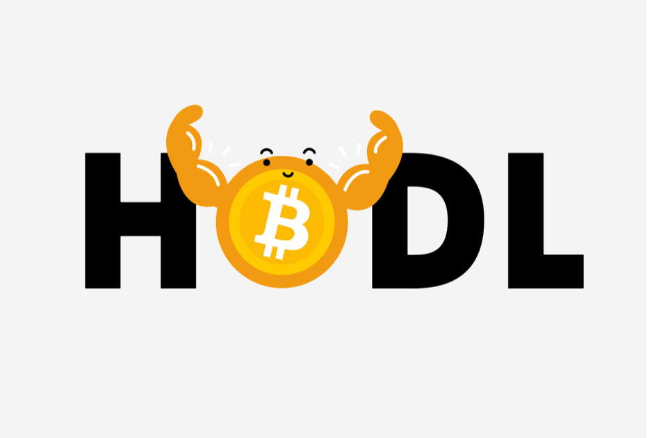 The Top 7 DeFi Coins To Buy and HODL for Maximum Profits in the 2024